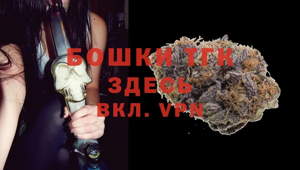 гидра Каменка