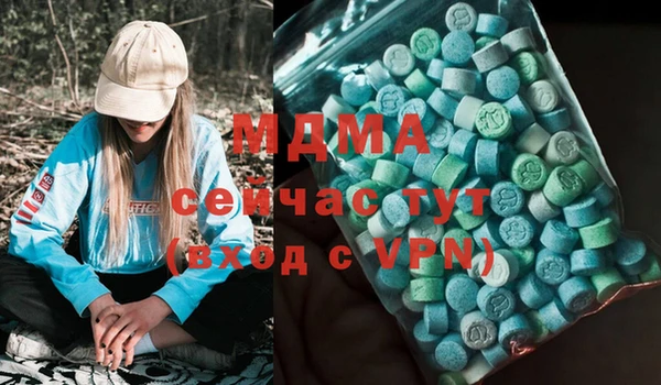 гидра Каменка