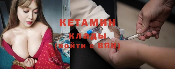 гидра Каменка
