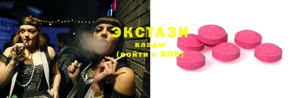 гидра Каменка