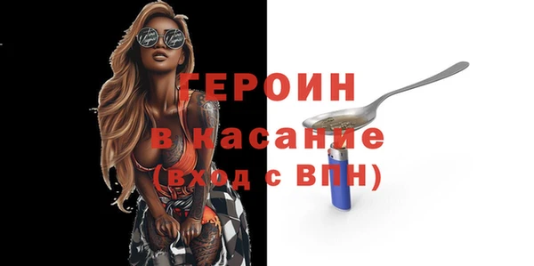 гидра Каменка