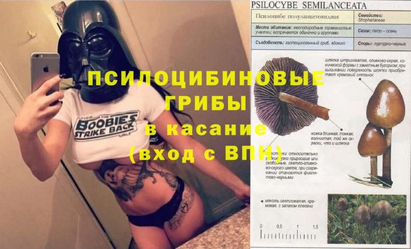 дистиллят марихуана Каменногорск