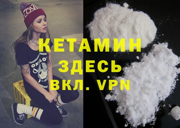 гидра Каменка