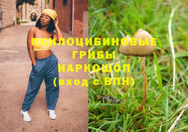 гидра Каменка