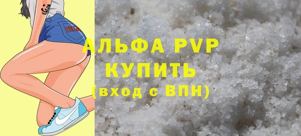 гидра Каменка