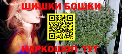 гидропоника Кингисепп