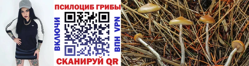хочу   Кызыл  блэк спрут маркетплейс  Галлюциногенные грибы мицелий 