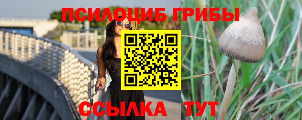 Псилоцибиновые грибы Psilocybine cubensis  Псилоцибиновые грибы MAGIC MUSHROOMS  Кызыл  Вход с VPN 